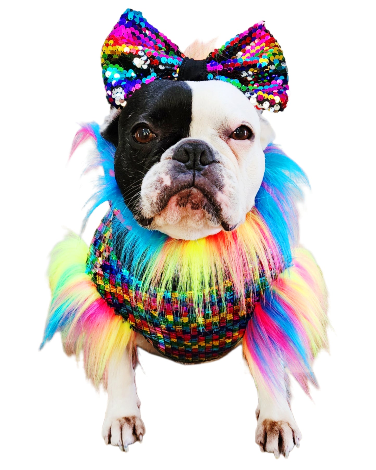 Pride Sparkle & Shine Top