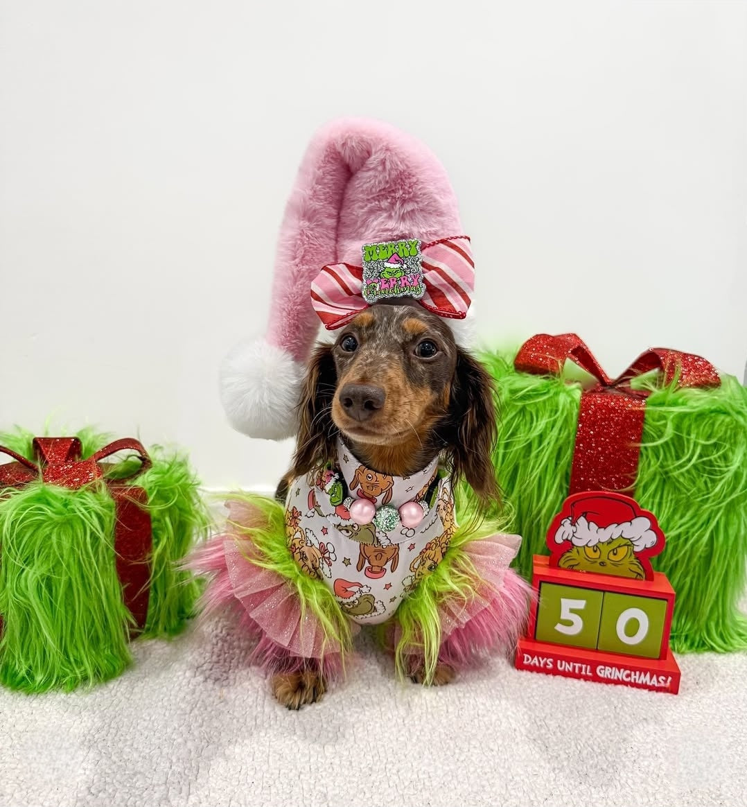 WHOVILLE PINKMAS