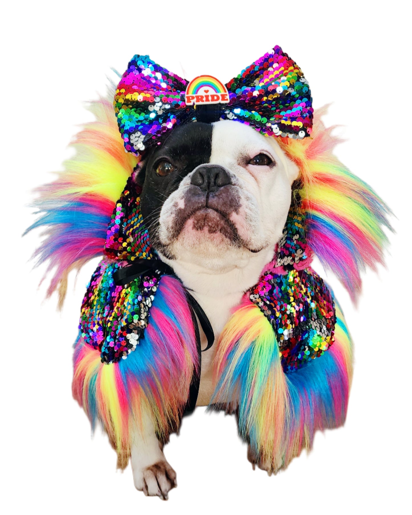 PRIDE ROAR & SHINE REVERSIBLE CAPELET