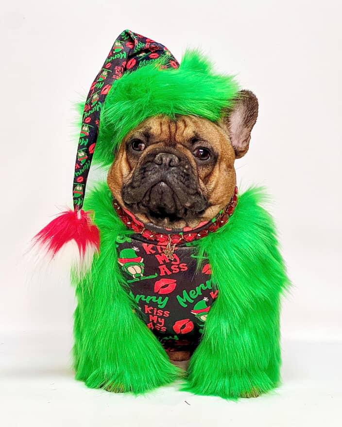 MERRY KISSMYASS 💚💋 Minky