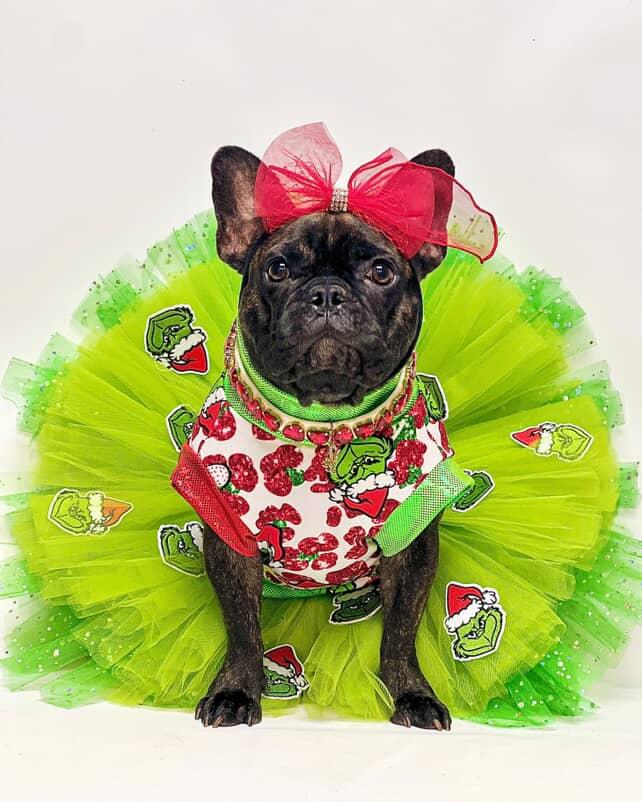 GLAM GRINCH TOP