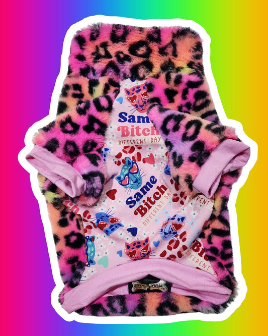 Rainbow SassCat