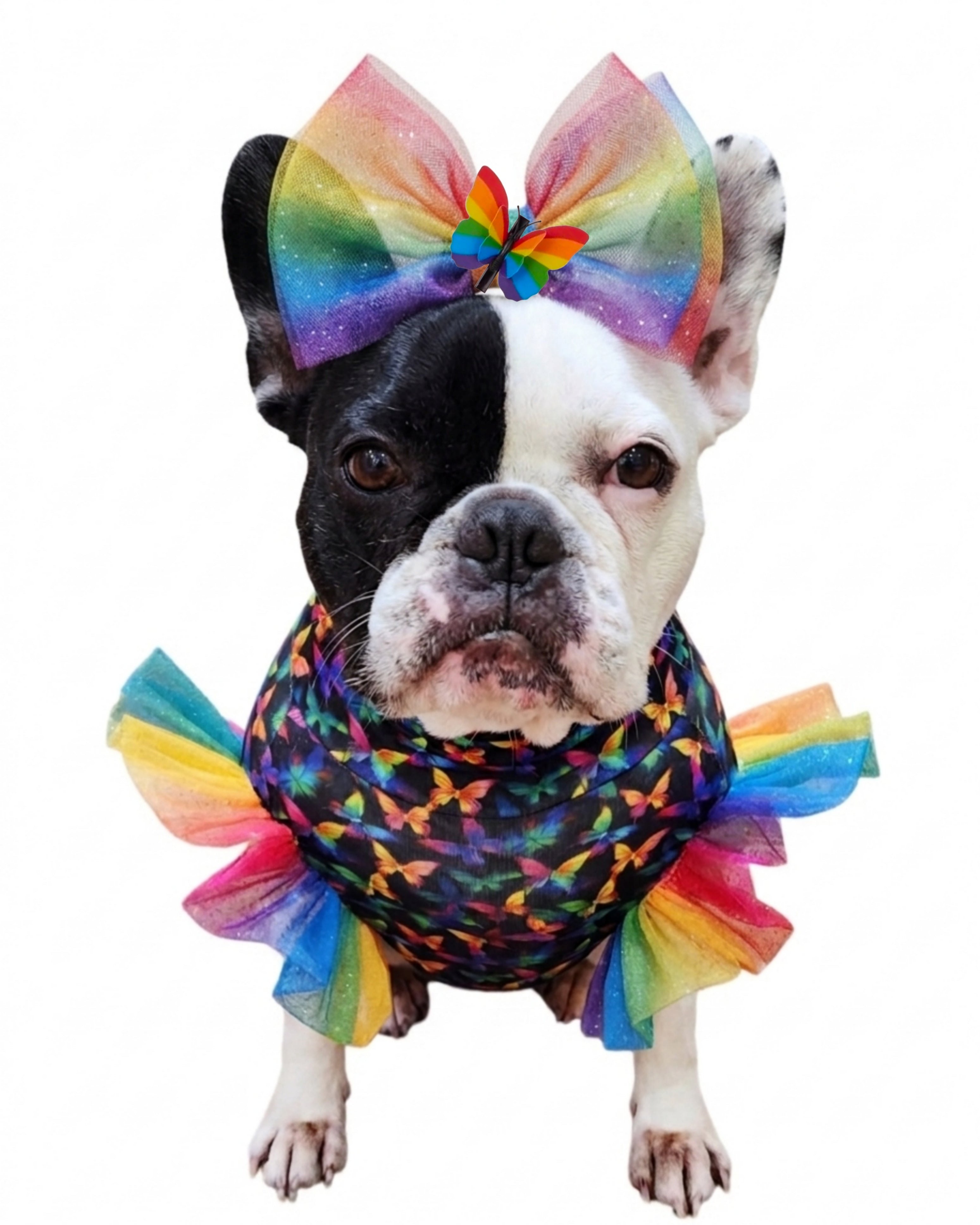 PRIDE SPREAD YOUR WINGS TOP