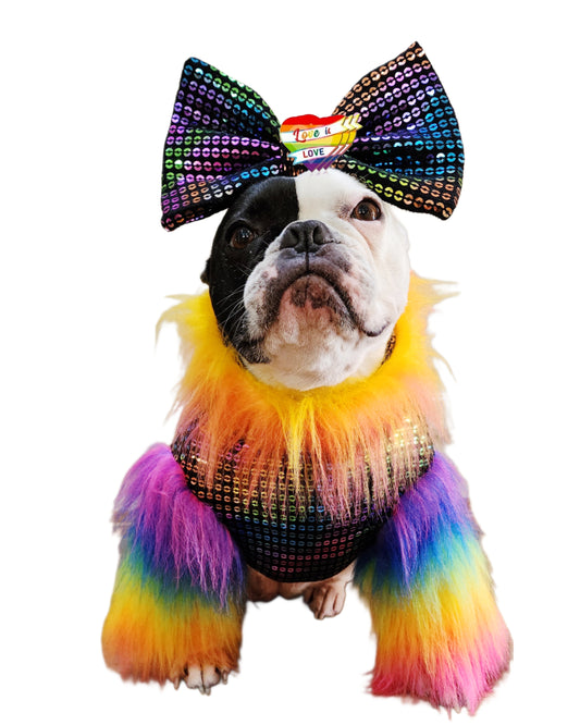 Pride To Glam Top