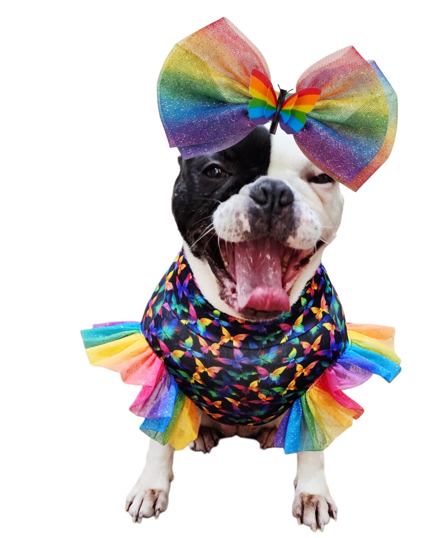 PRIDE SPREAD YOUR WINGS TOP