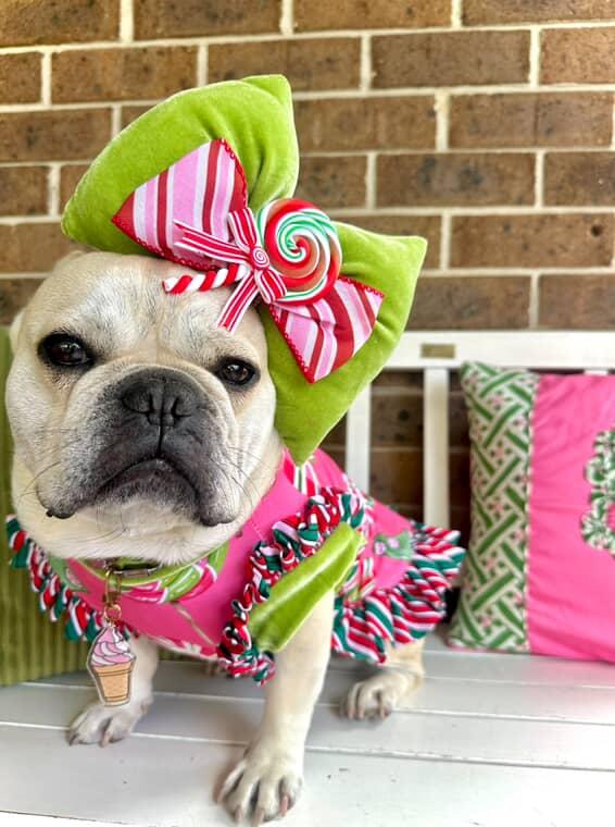 HOLIDAY CANDY DRESS/TOP