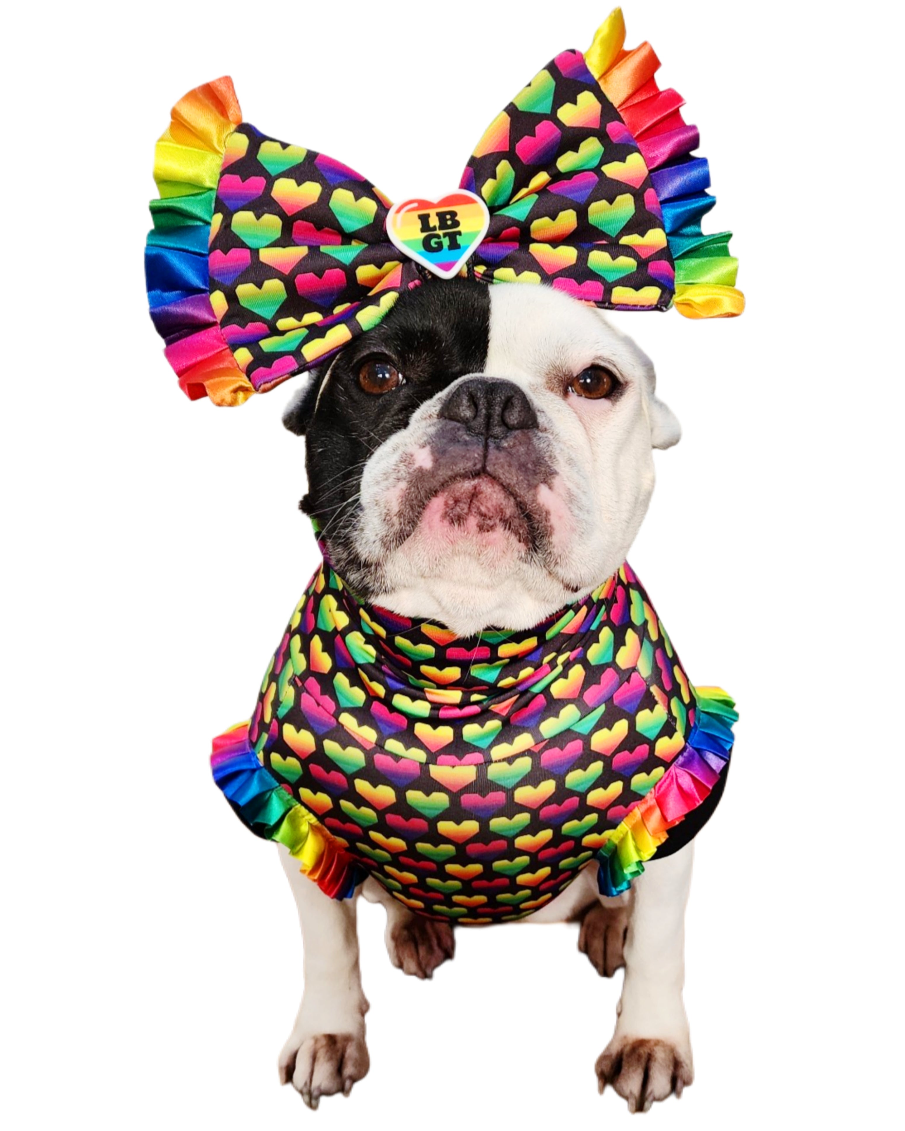 PRIDE PROUD HEART TOP