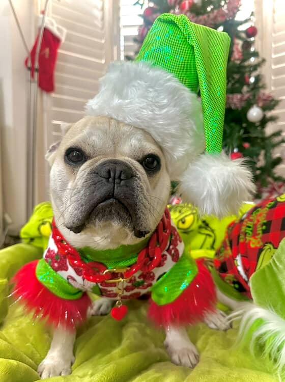 GLAM GRINCH TOP