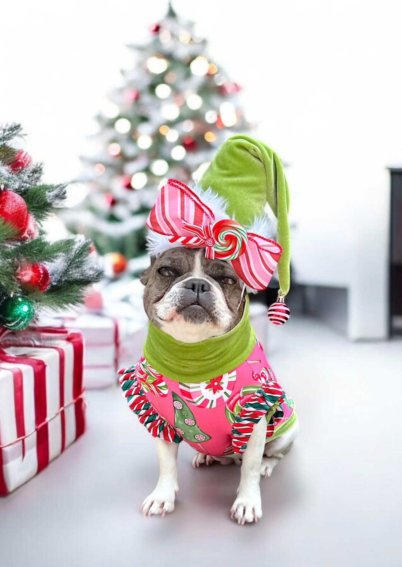 HOLIDAY CANDY DRESS/TOP