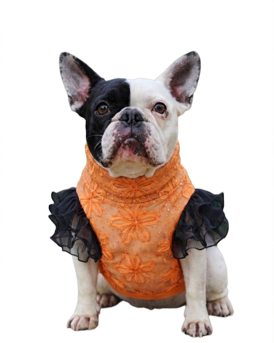 Orange Blossoms Top