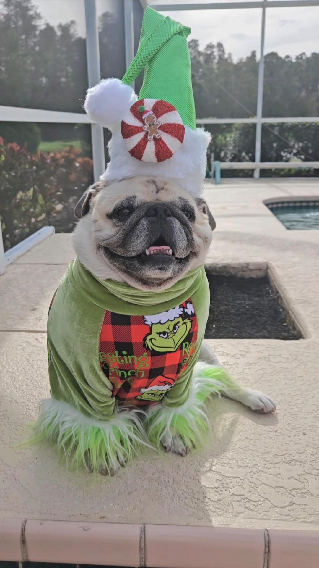 Resting Grinch Face