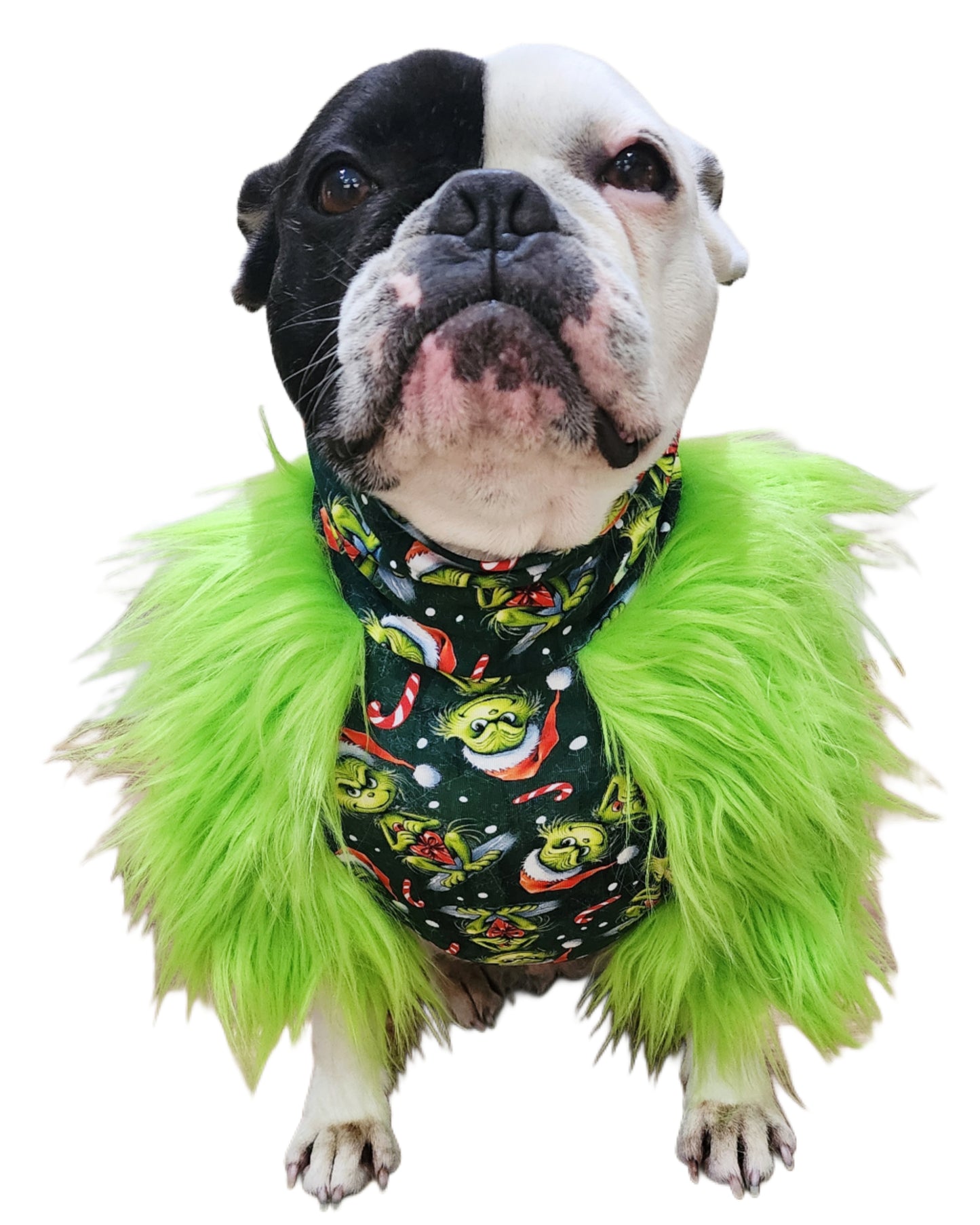FUR THE MEAN ONE