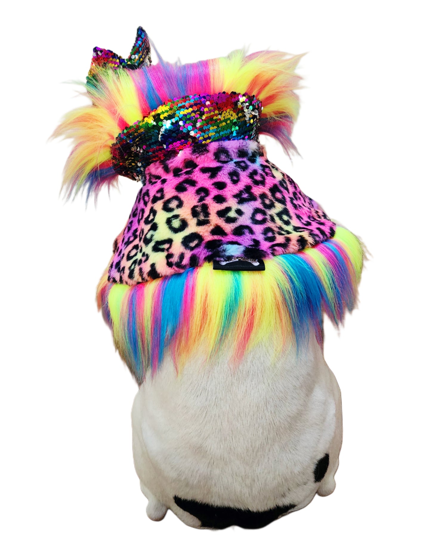 PRIDE ROAR & SHINE REVERSIBLE CAPELET