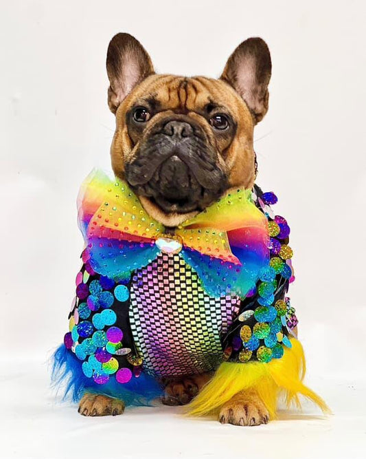 Rainbow Razzle Shirt