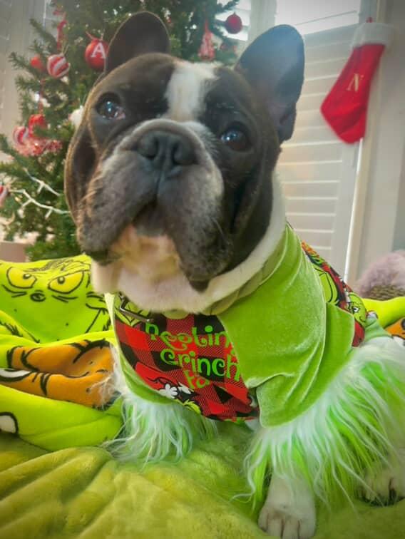 Resting Grinch Face