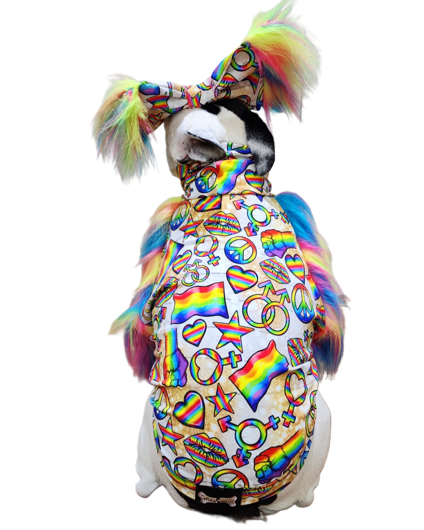 Pride Loud and Proud Top