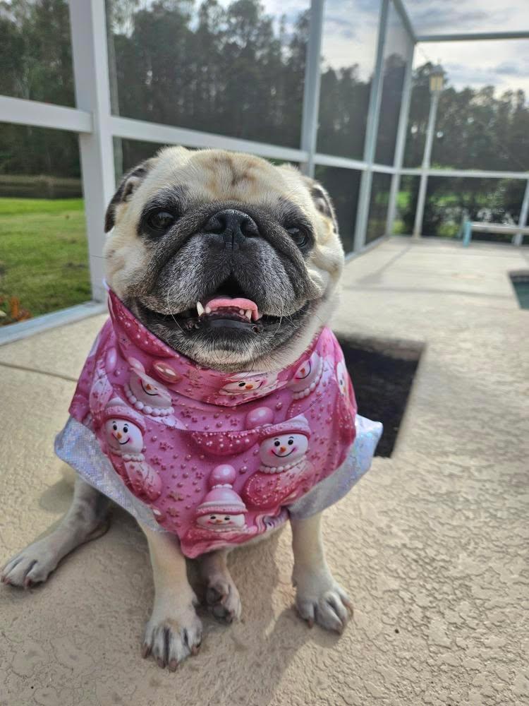 FROSTED PINK Dress/Top