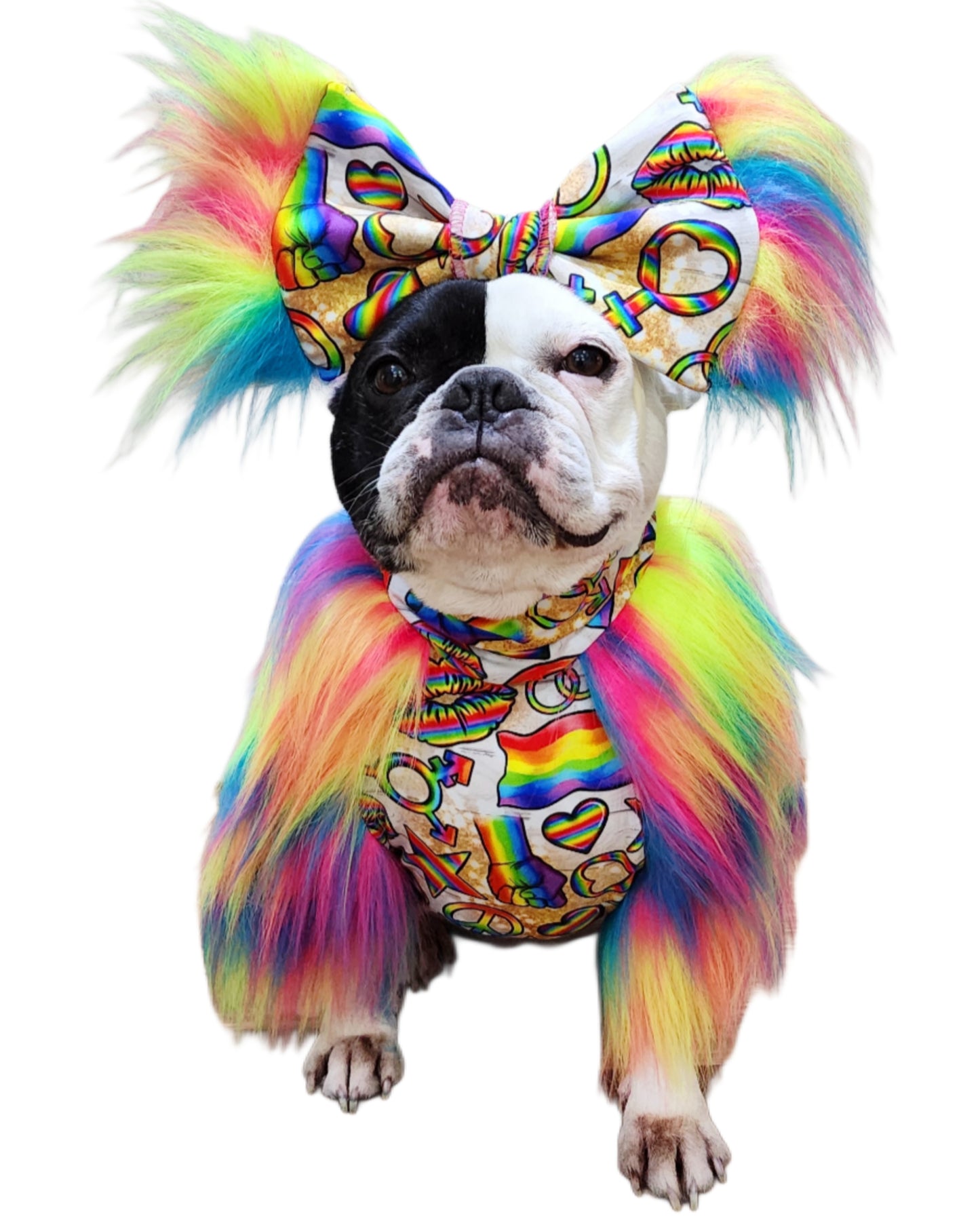 Pride Loud and Proud Top