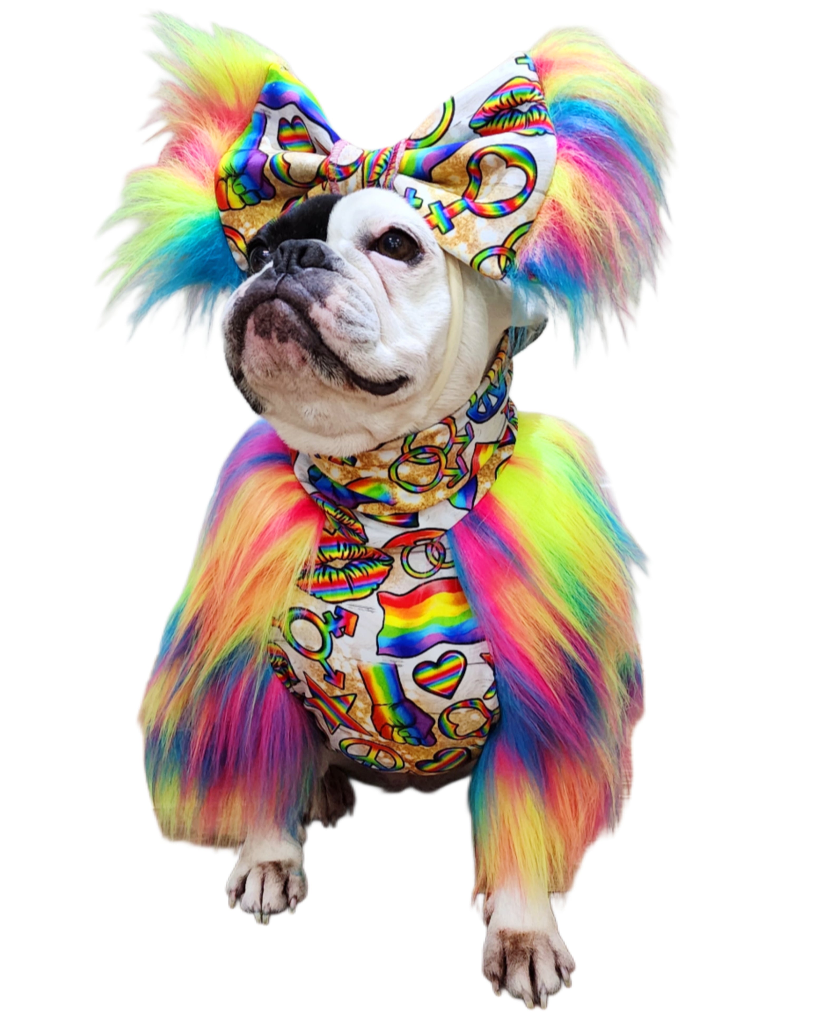 Pride Loud and Proud Top