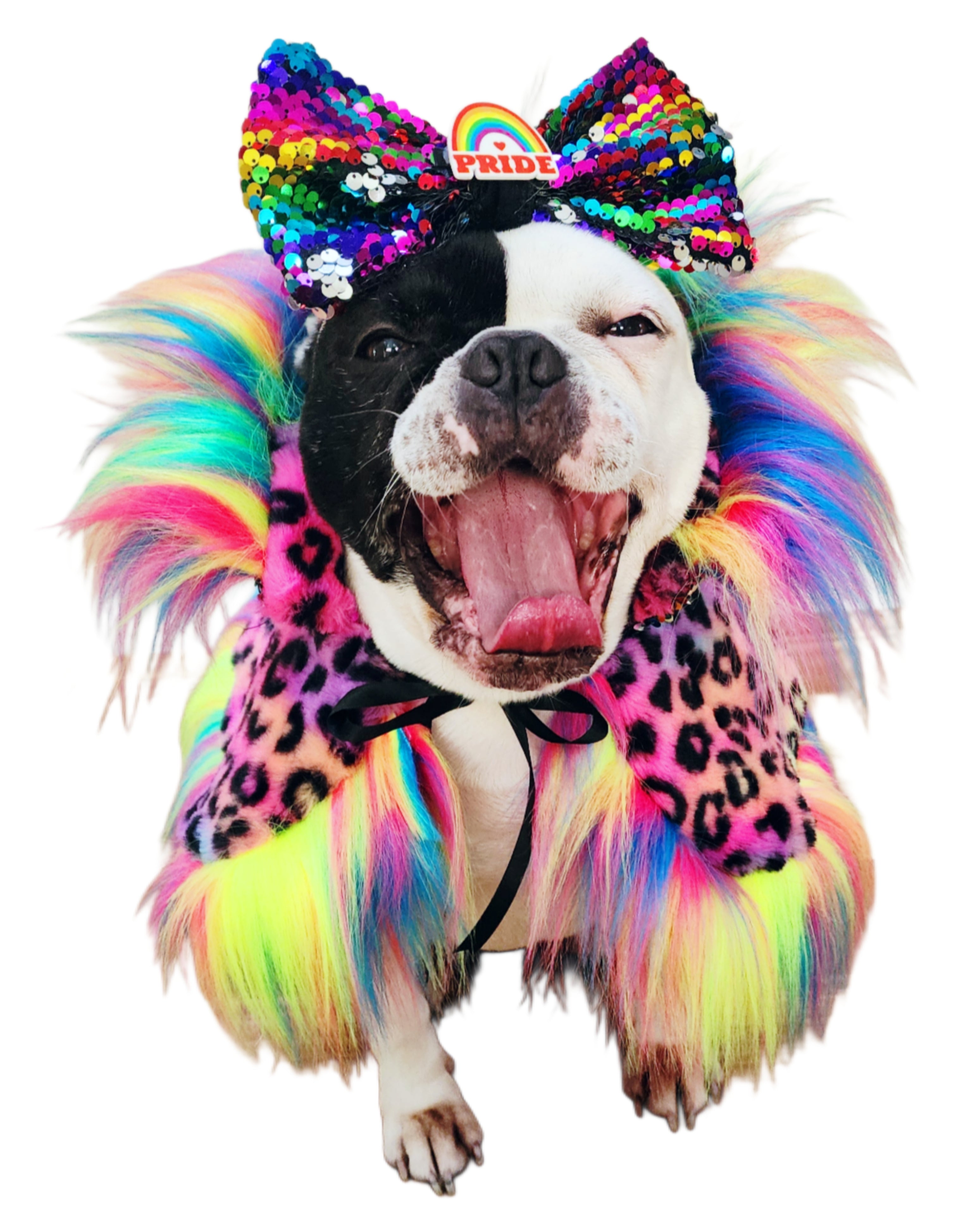 PRIDE ROAR & SHINE REVERSIBLE CAPELET