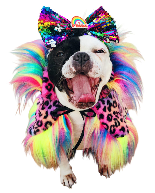 PRIDE ROAR & SHINE REVERSIBLE CAPELET