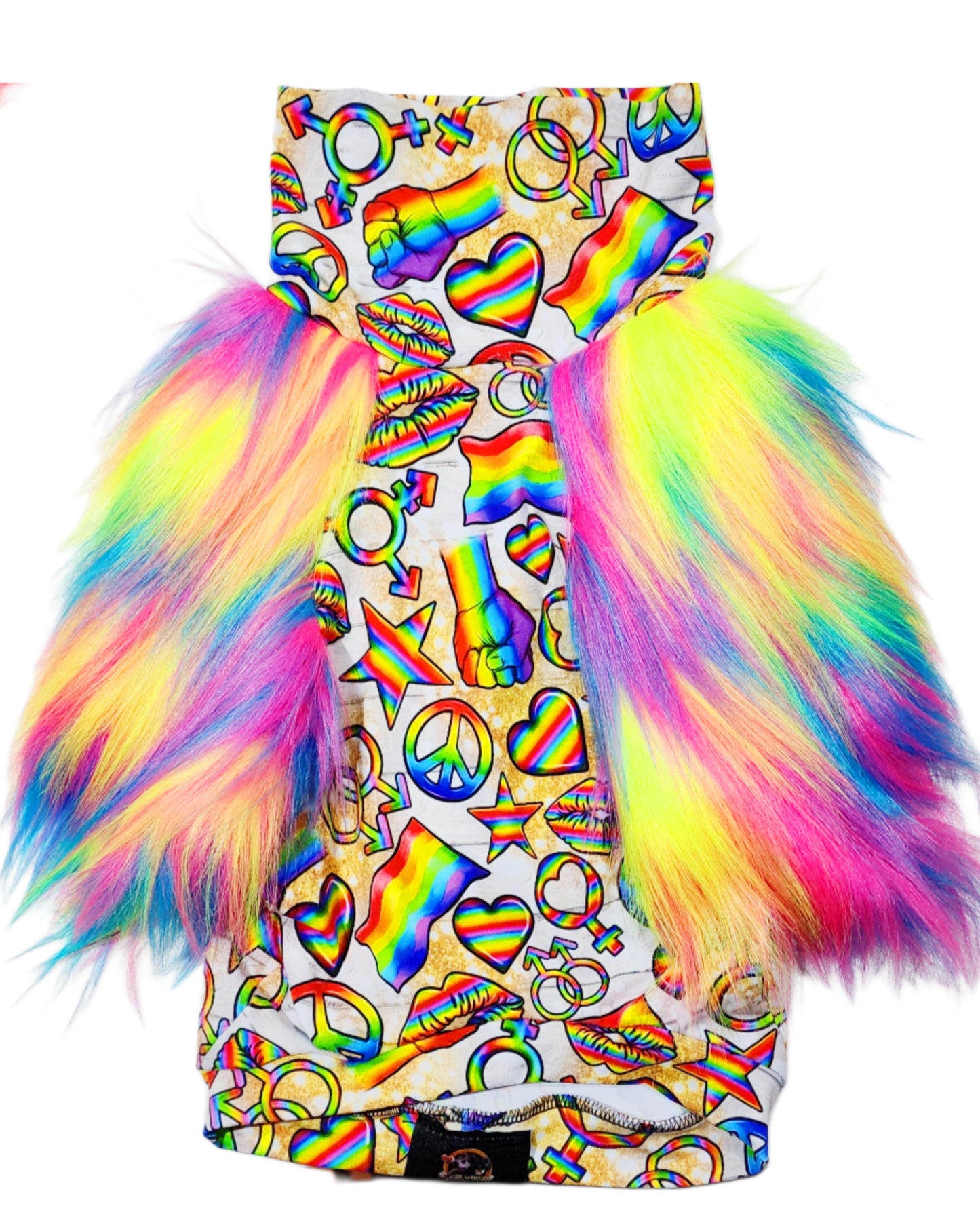 Pride Loud and Proud Top