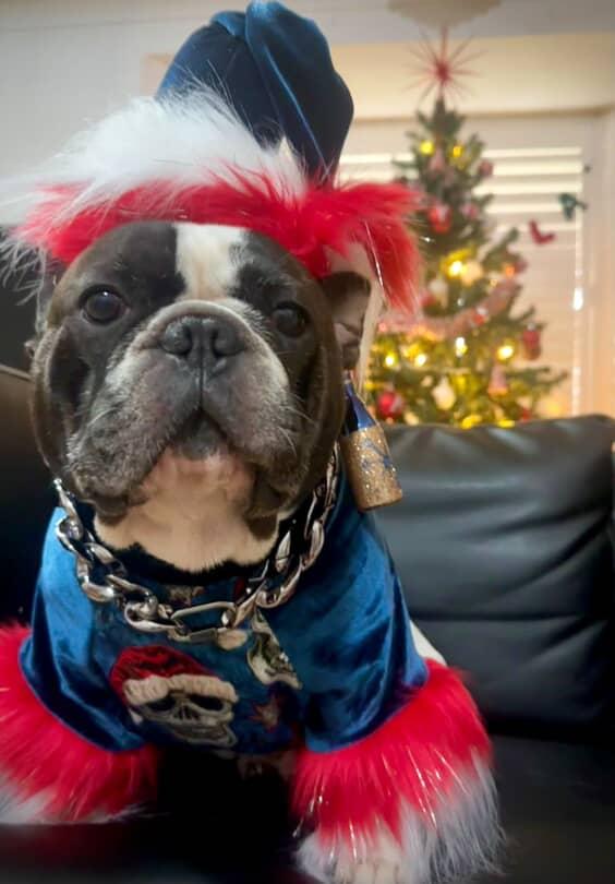 REBEL CLAUS